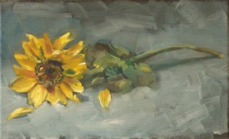 Kemp 2013 - Sunflower