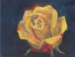 Kemp 2013 - yellow rose